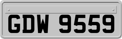 GDW9559