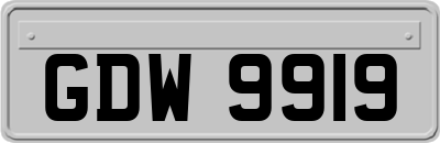 GDW9919