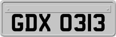 GDX0313