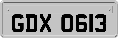 GDX0613
