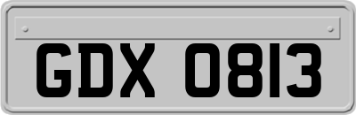 GDX0813