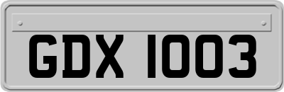 GDX1003