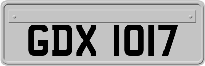 GDX1017