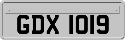 GDX1019