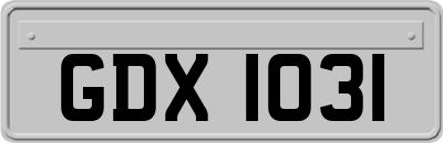 GDX1031