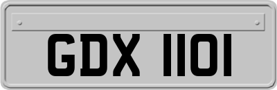 GDX1101
