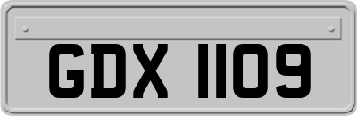 GDX1109