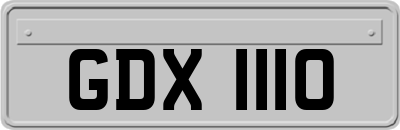 GDX1110