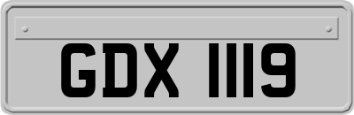 GDX1119