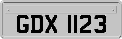 GDX1123