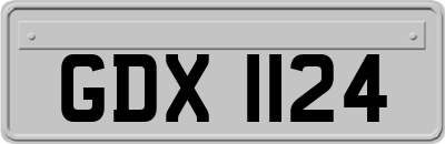 GDX1124