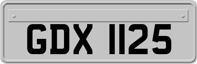 GDX1125