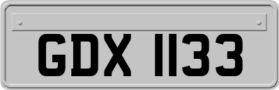 GDX1133