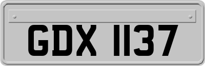 GDX1137