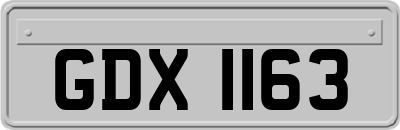 GDX1163