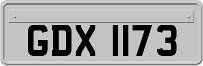 GDX1173