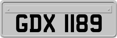 GDX1189