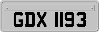 GDX1193