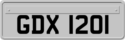 GDX1201