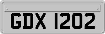 GDX1202