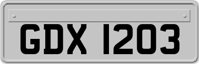 GDX1203