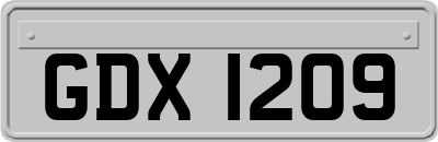 GDX1209