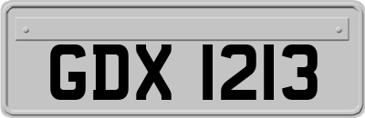GDX1213