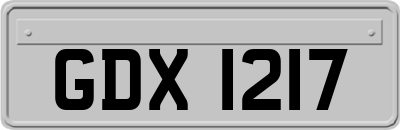 GDX1217
