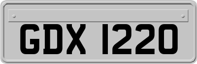 GDX1220