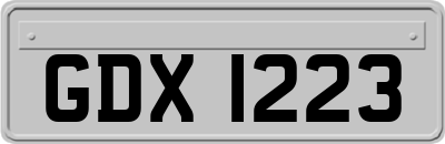 GDX1223
