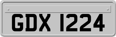 GDX1224