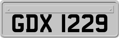 GDX1229