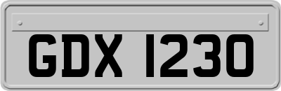 GDX1230
