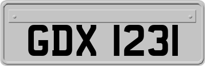 GDX1231