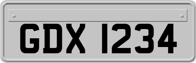 GDX1234
