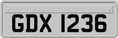 GDX1236