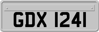 GDX1241