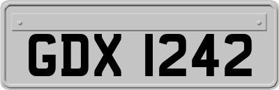 GDX1242