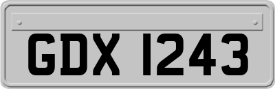 GDX1243