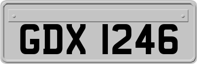 GDX1246