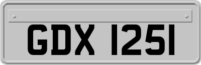 GDX1251