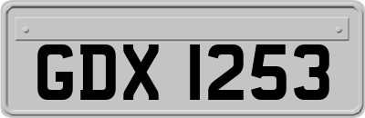 GDX1253