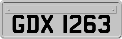GDX1263