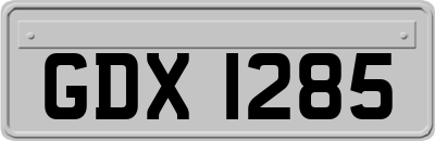 GDX1285