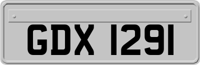 GDX1291