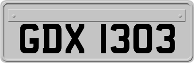 GDX1303