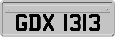 GDX1313