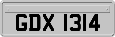 GDX1314