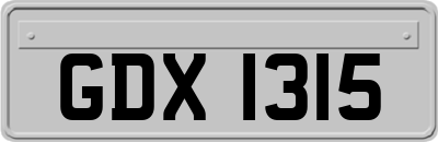 GDX1315