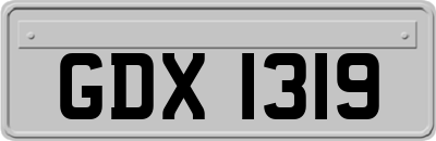 GDX1319